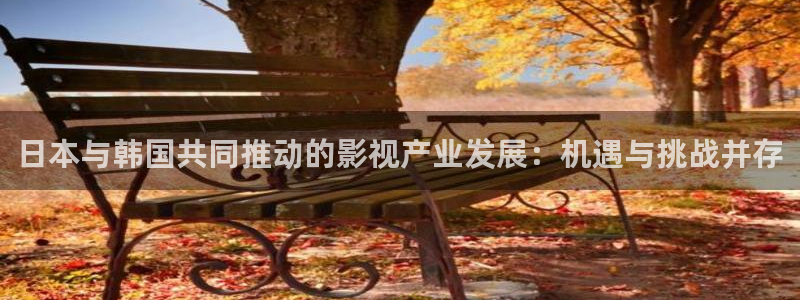 人人妻人人澡人人爽人人精品电影：日本与韩国共同推动的影视产业发展：机遇与挑战并存