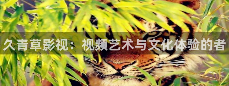 人人影院电影大全