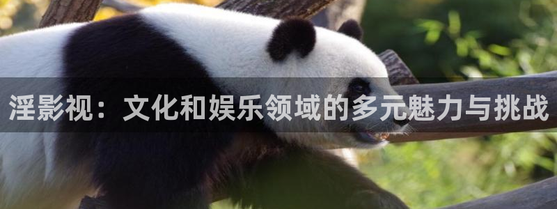 人人影视app下载官网：淫影视：文化和娱乐领域的多元魅力与挑战