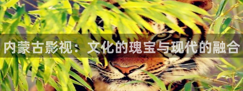 51人人看影视