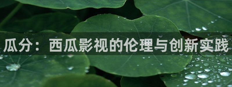 人人看免费高清电影