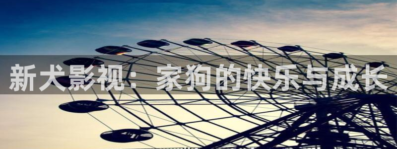 超碰人人在线观看：新犬影视：家狗的快乐与成长