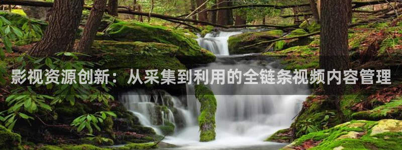 人人视频：影视资源创新：从采集到利用的全链条视频内容管理