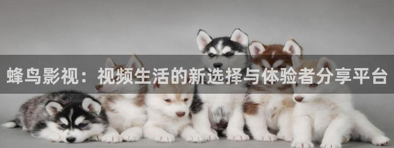 人人爱电影网：蜂鸟影视：视频生活的新选择与体验者分享平台